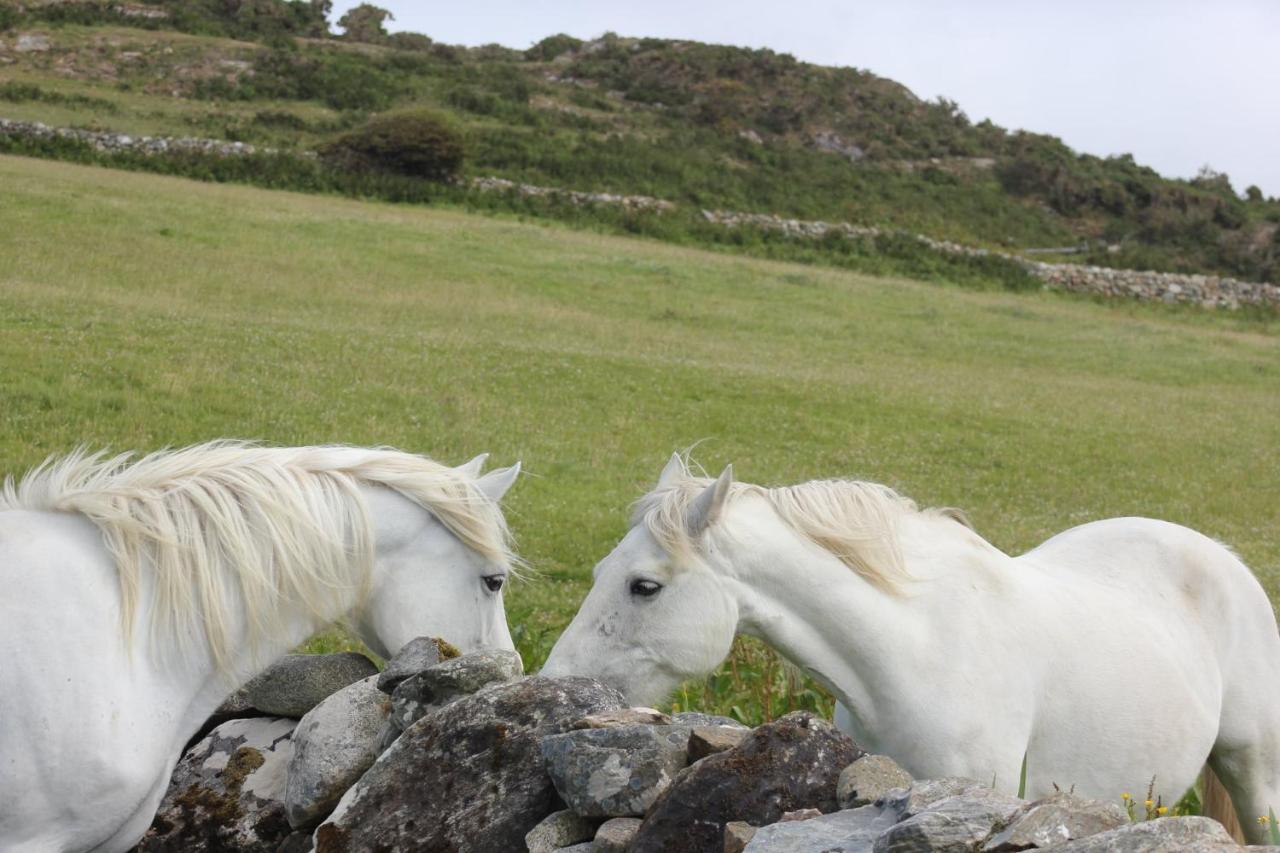 Clifden Bay Lodge Экстерьер фото