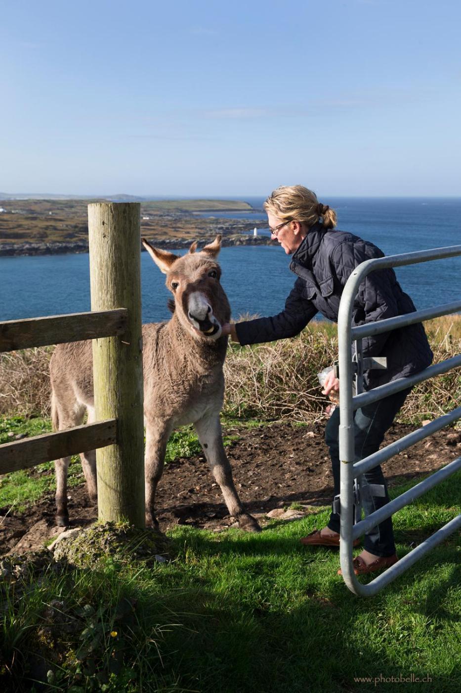 Clifden Bay Lodge Экстерьер фото